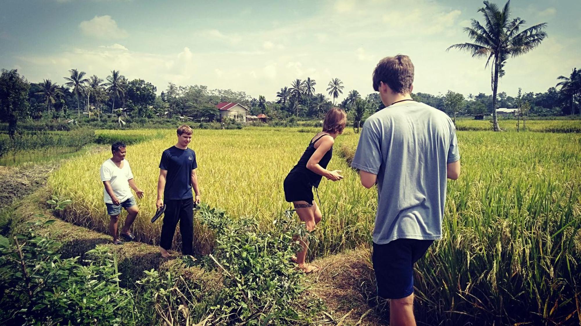 Bujak Permai Villa Matahari Lombok Ntb Praya Bagian luar foto
