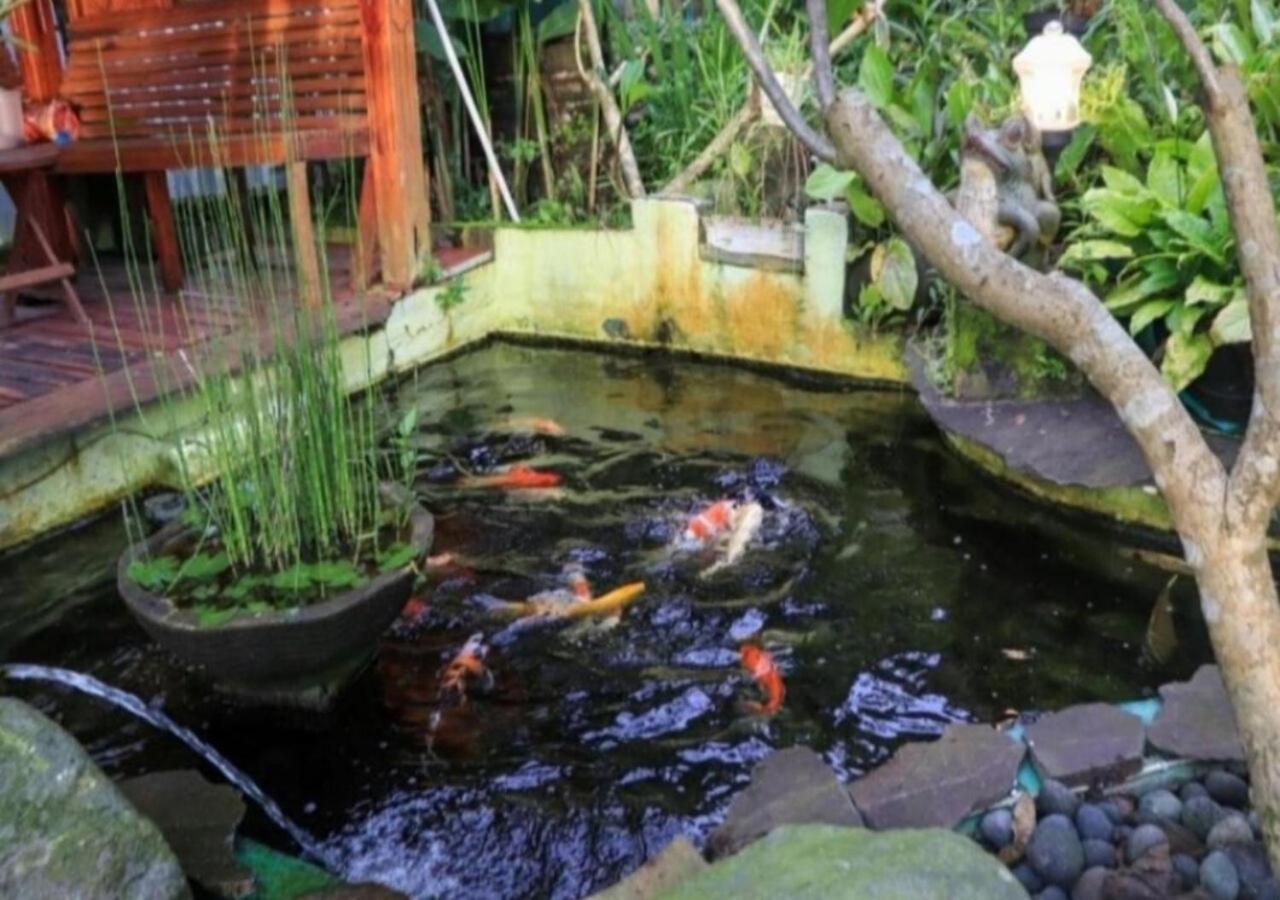 Bujak Permai Villa Matahari Lombok Ntb Praya Bagian luar foto