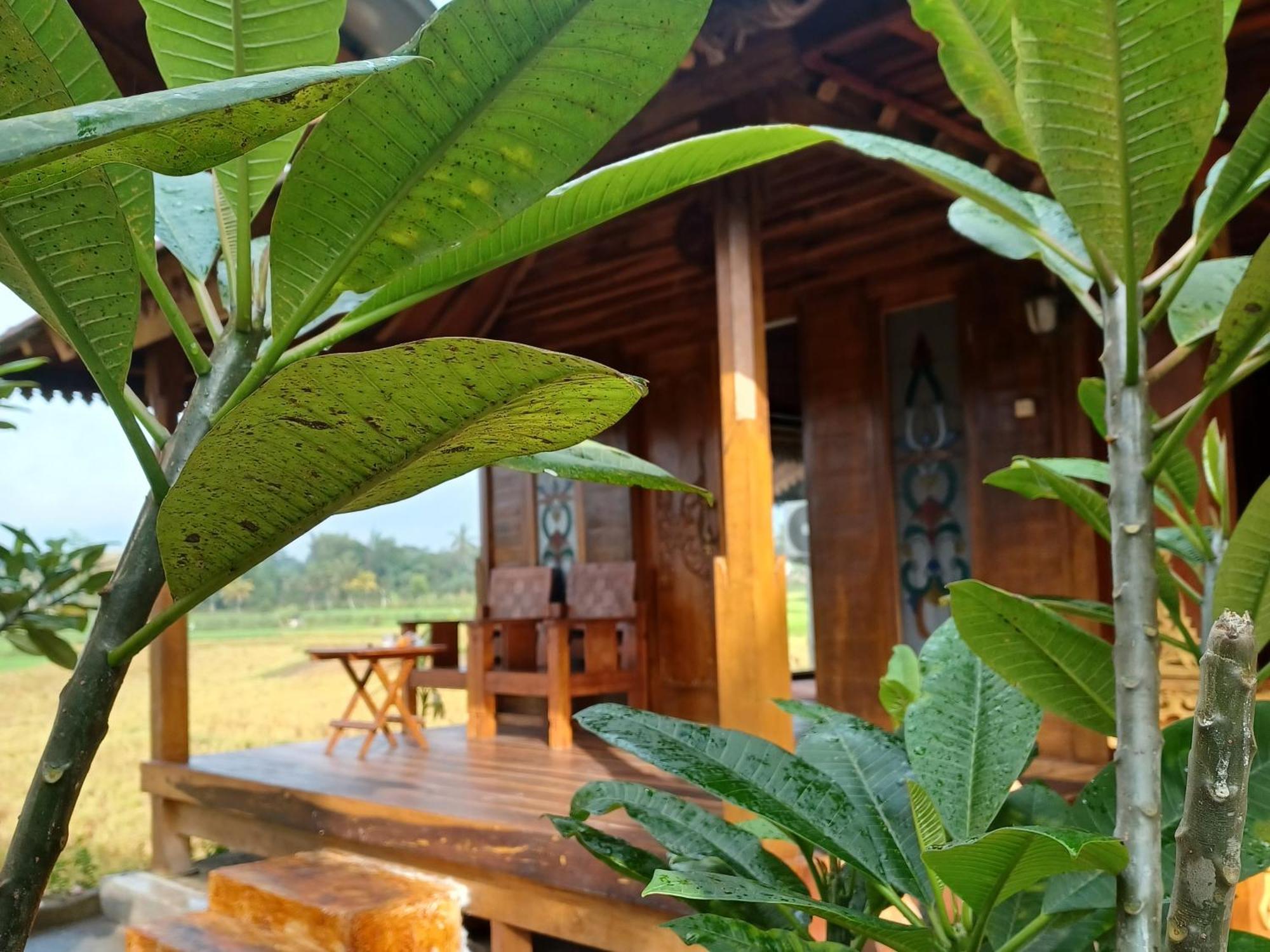 Bujak Permai Villa Matahari Lombok Ntb Praya Bagian luar foto